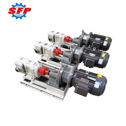 3RP Series Stainless Steel Lobe Pump